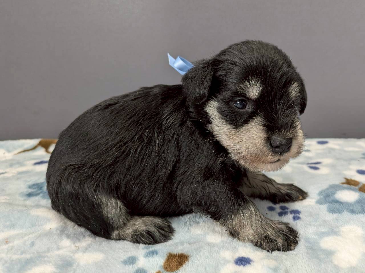 赤ちゃん写真2-2