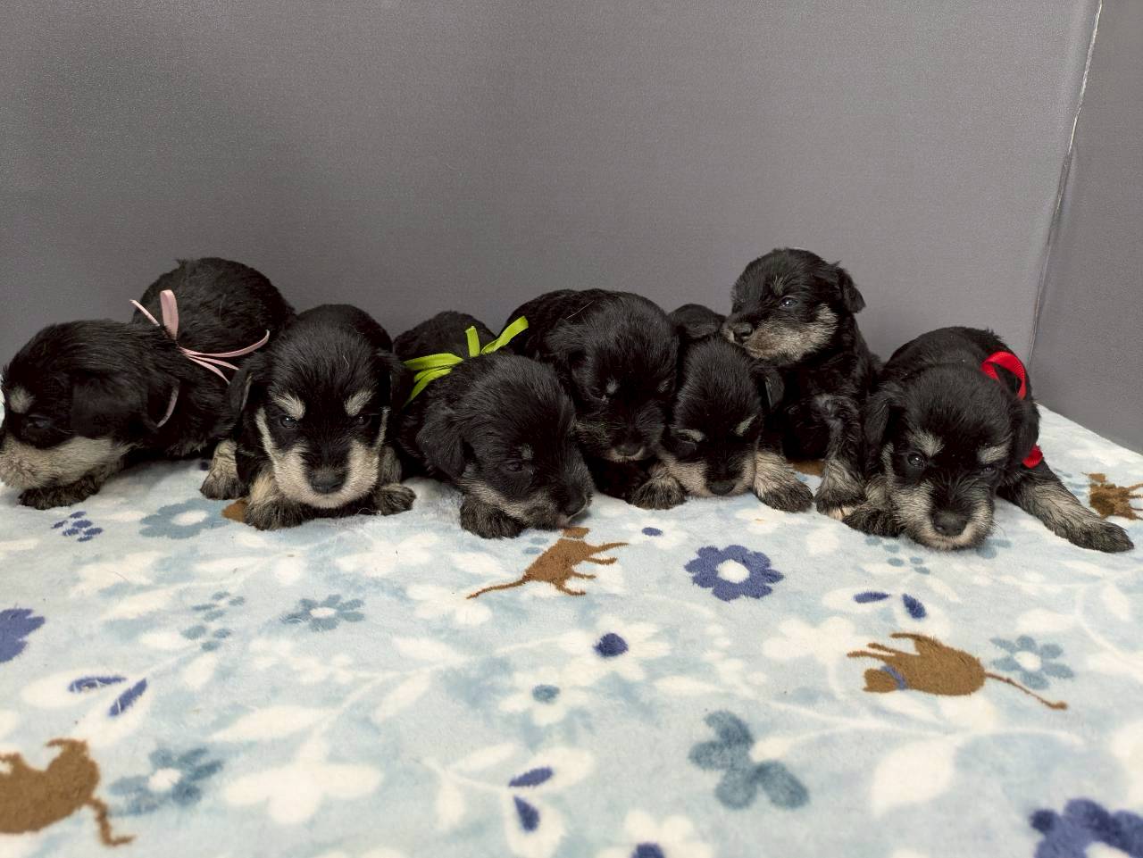 赤ちゃん写真2-3