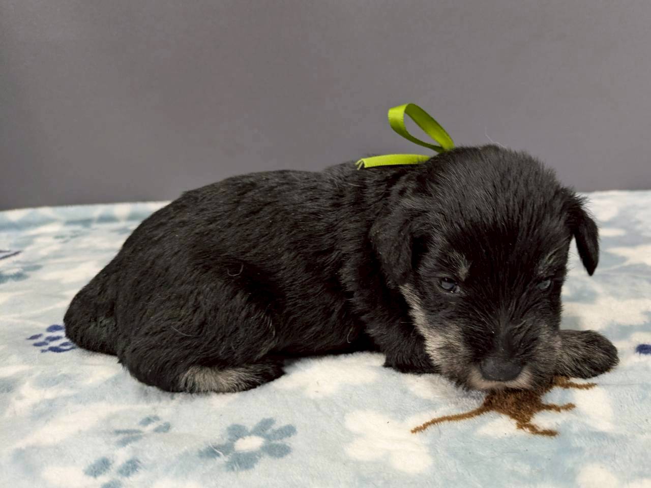 赤ちゃん写真2-2