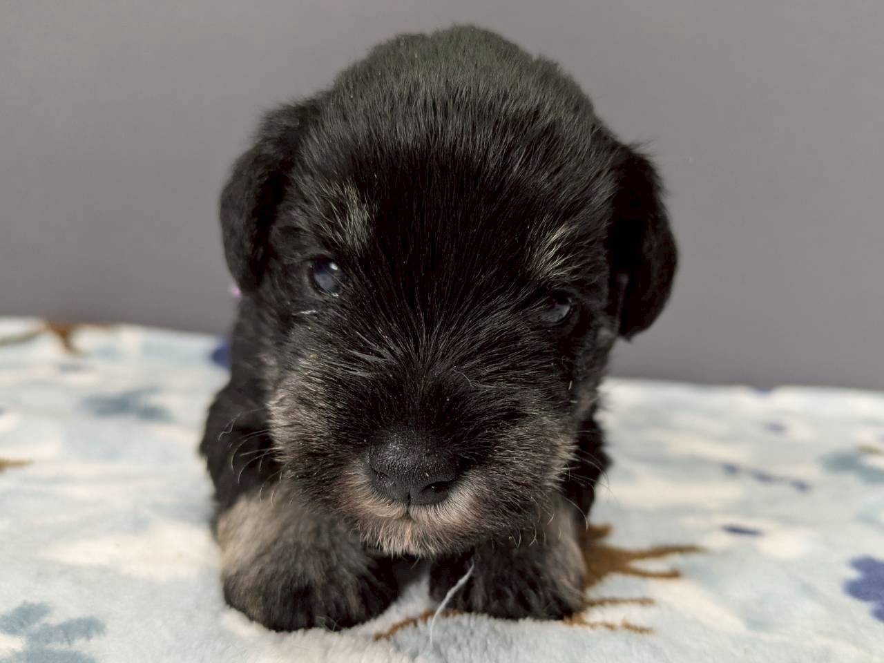 赤ちゃん写真2-1