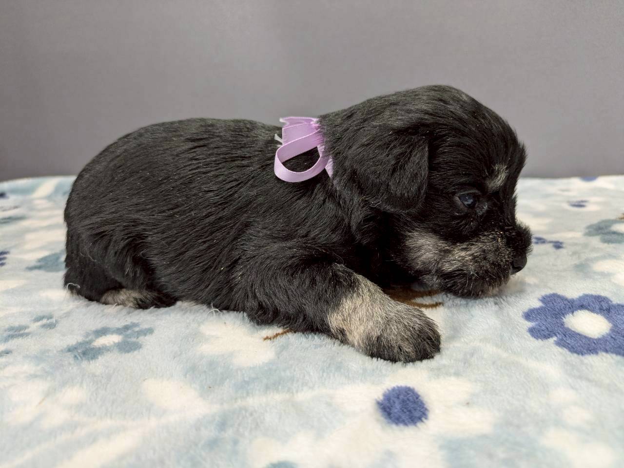 赤ちゃん写真2-2