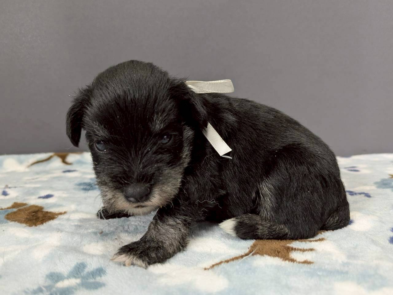 赤ちゃん写真2-2