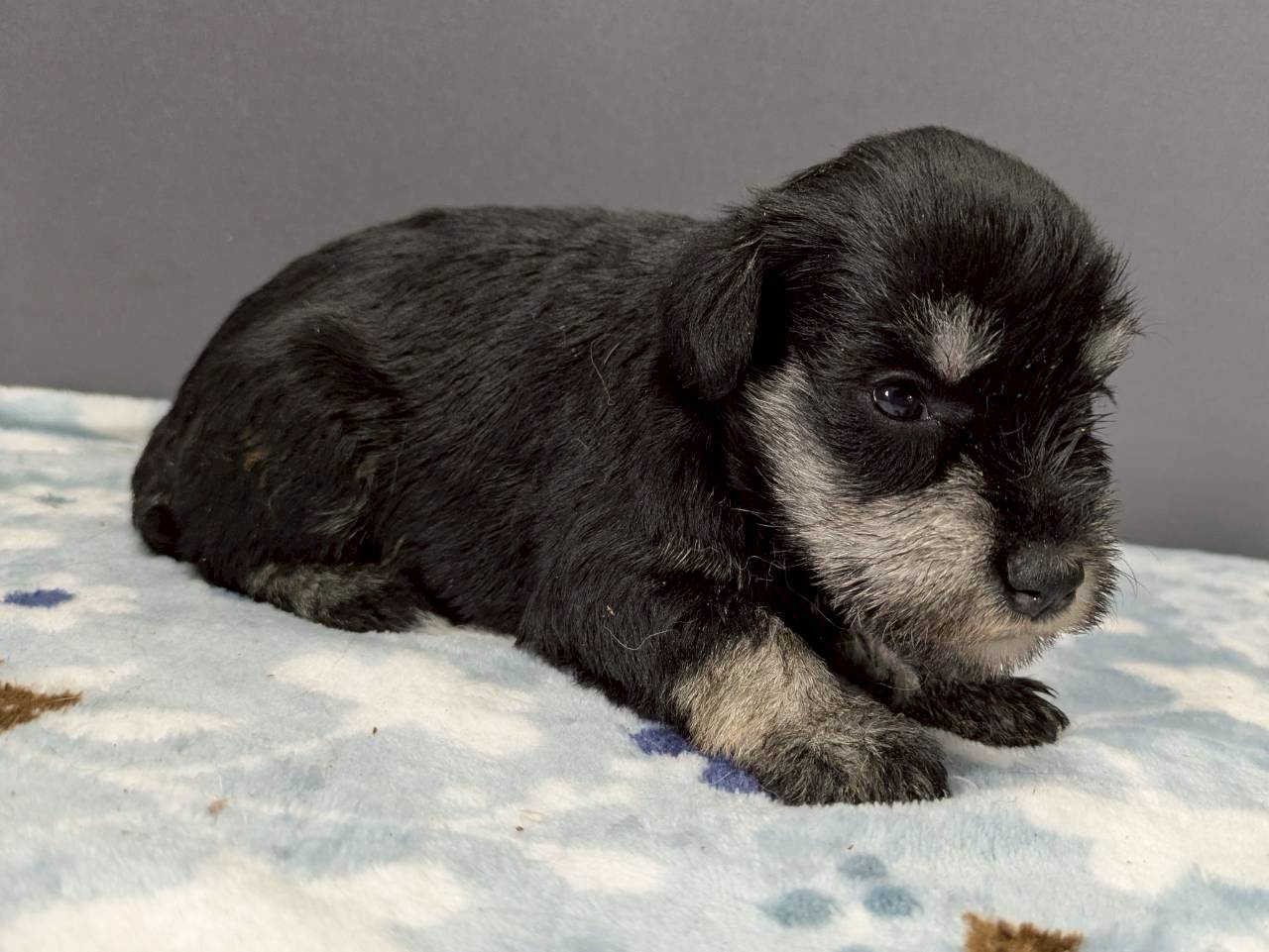 赤ちゃん写真2-2