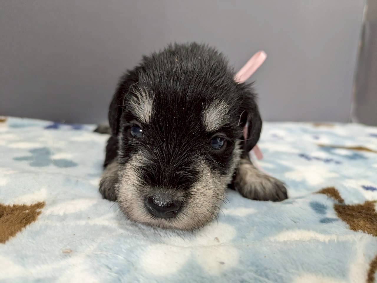 赤ちゃん写真2-1