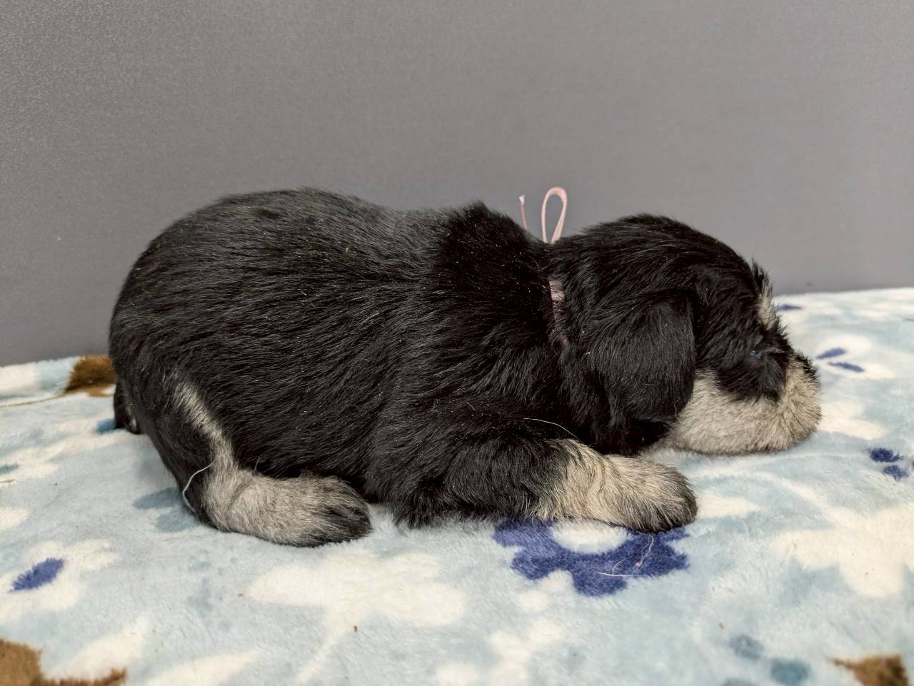 赤ちゃん写真2-2