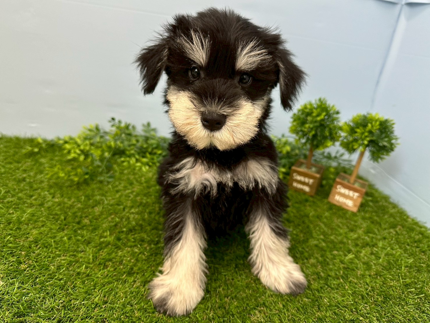 赤ちゃん写真3-1