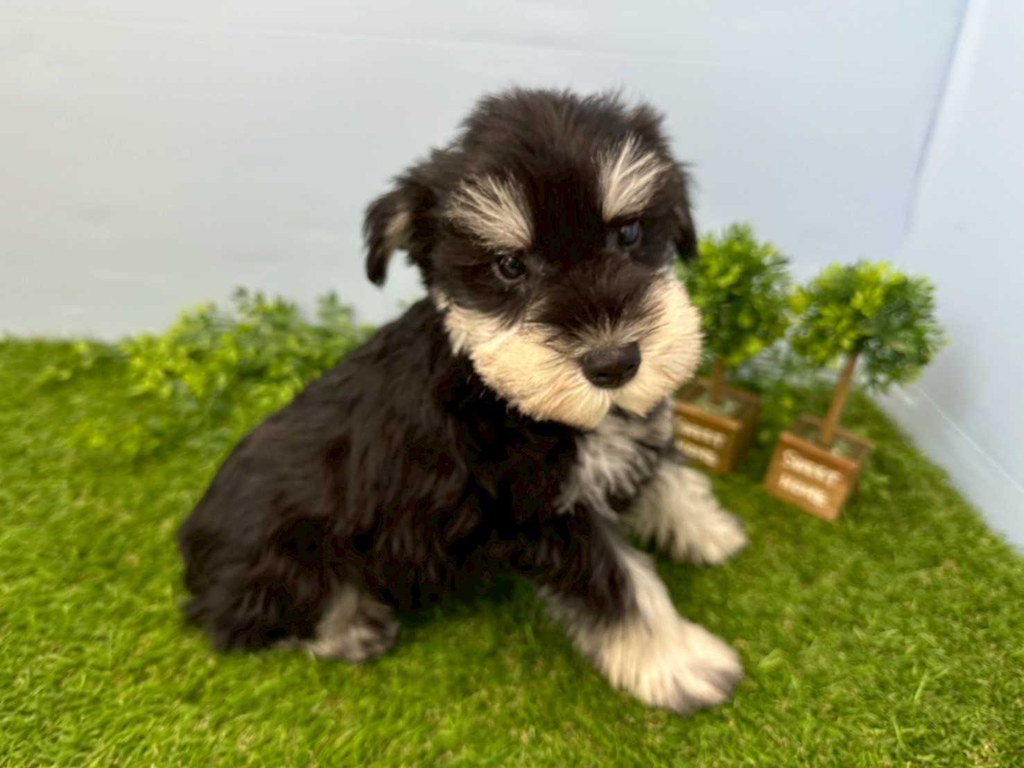 赤ちゃん写真3-2