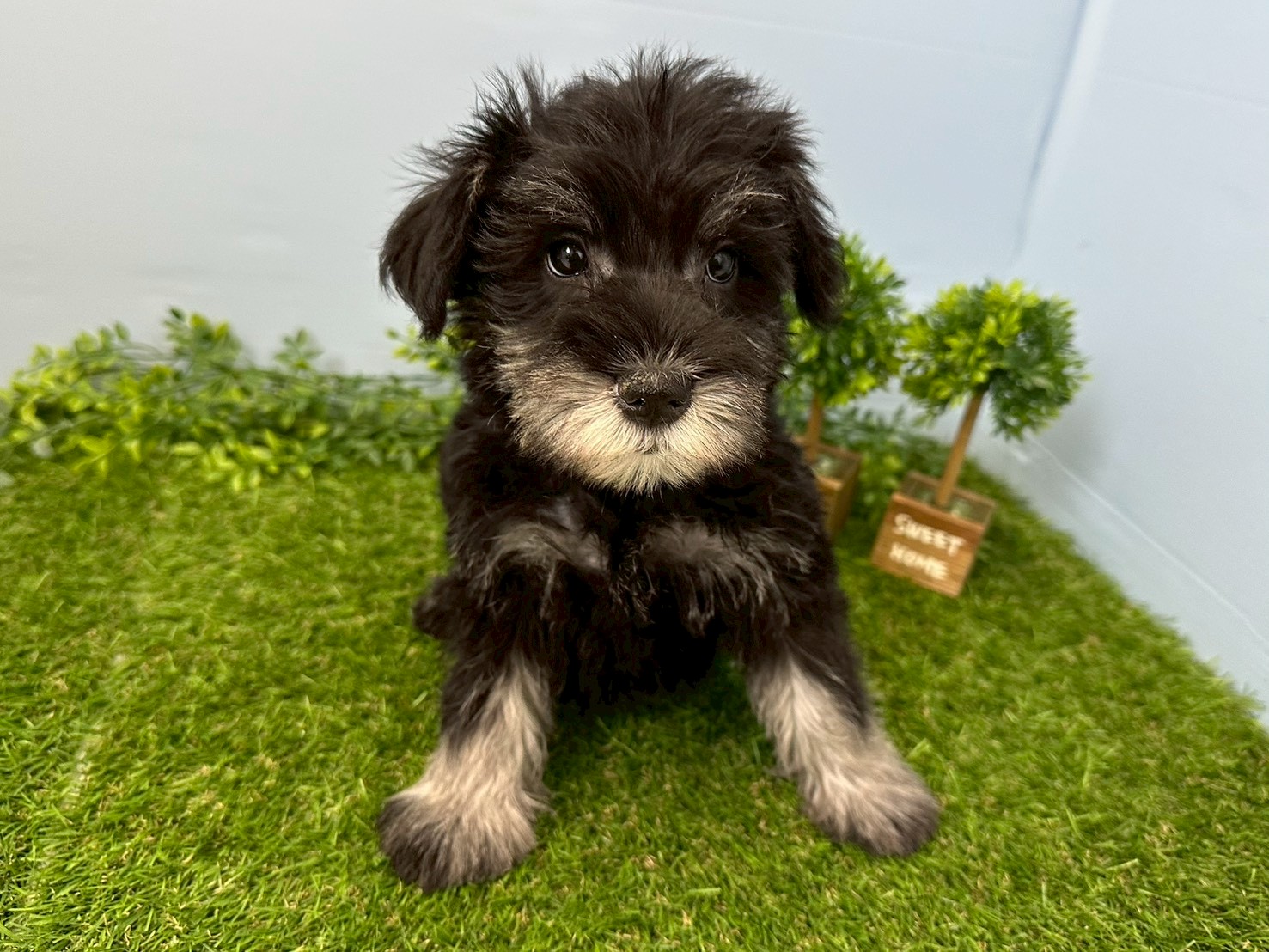 赤ちゃん写真3-1