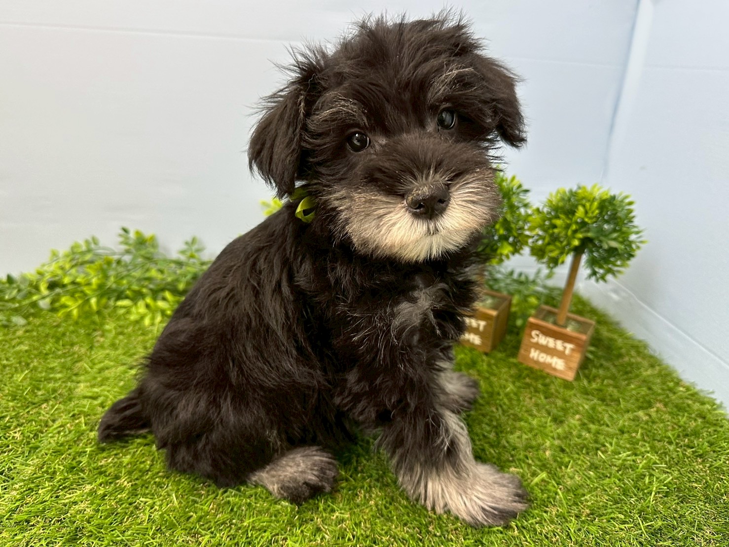 赤ちゃん写真3-2