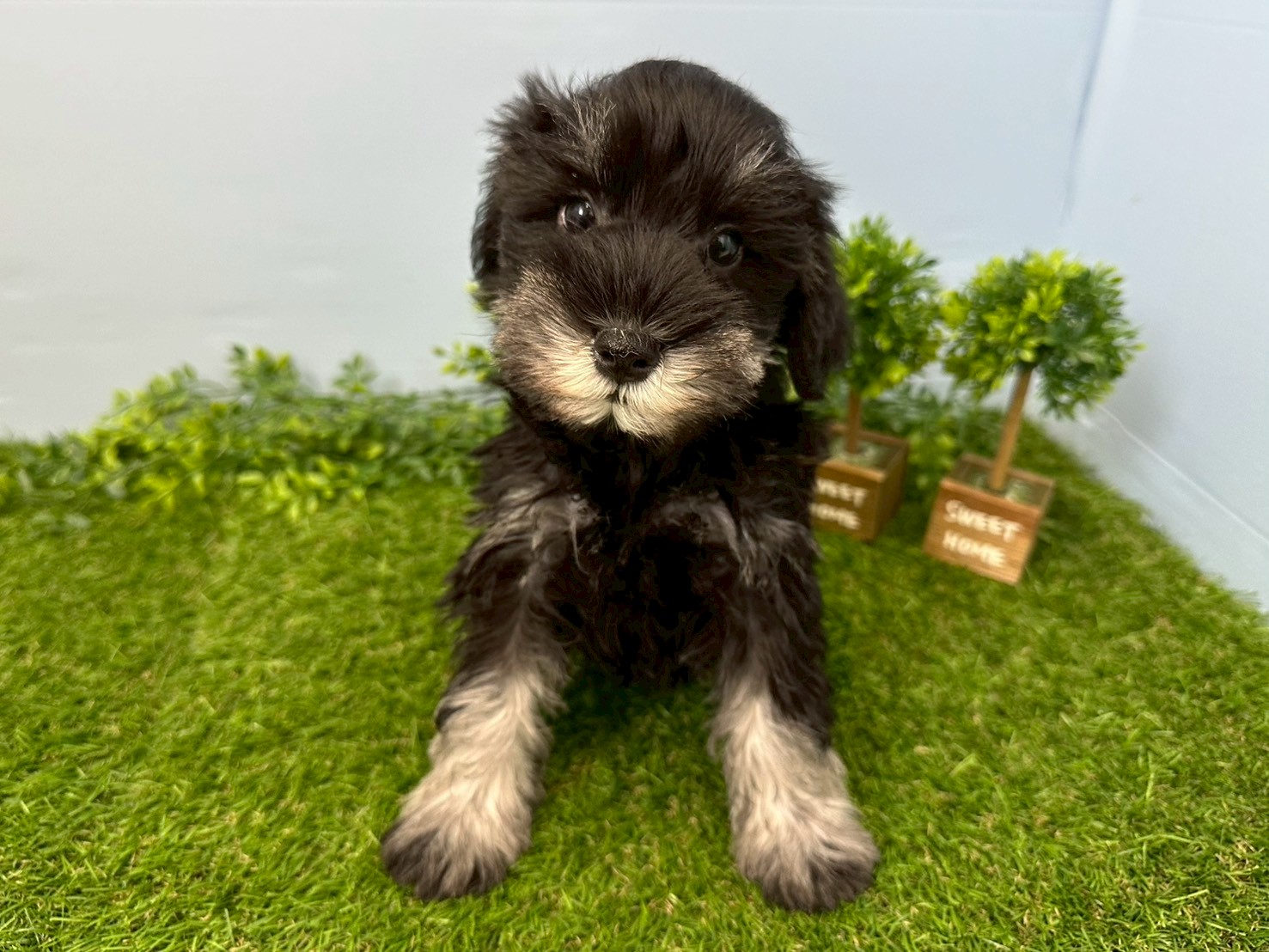 赤ちゃん写真3-1