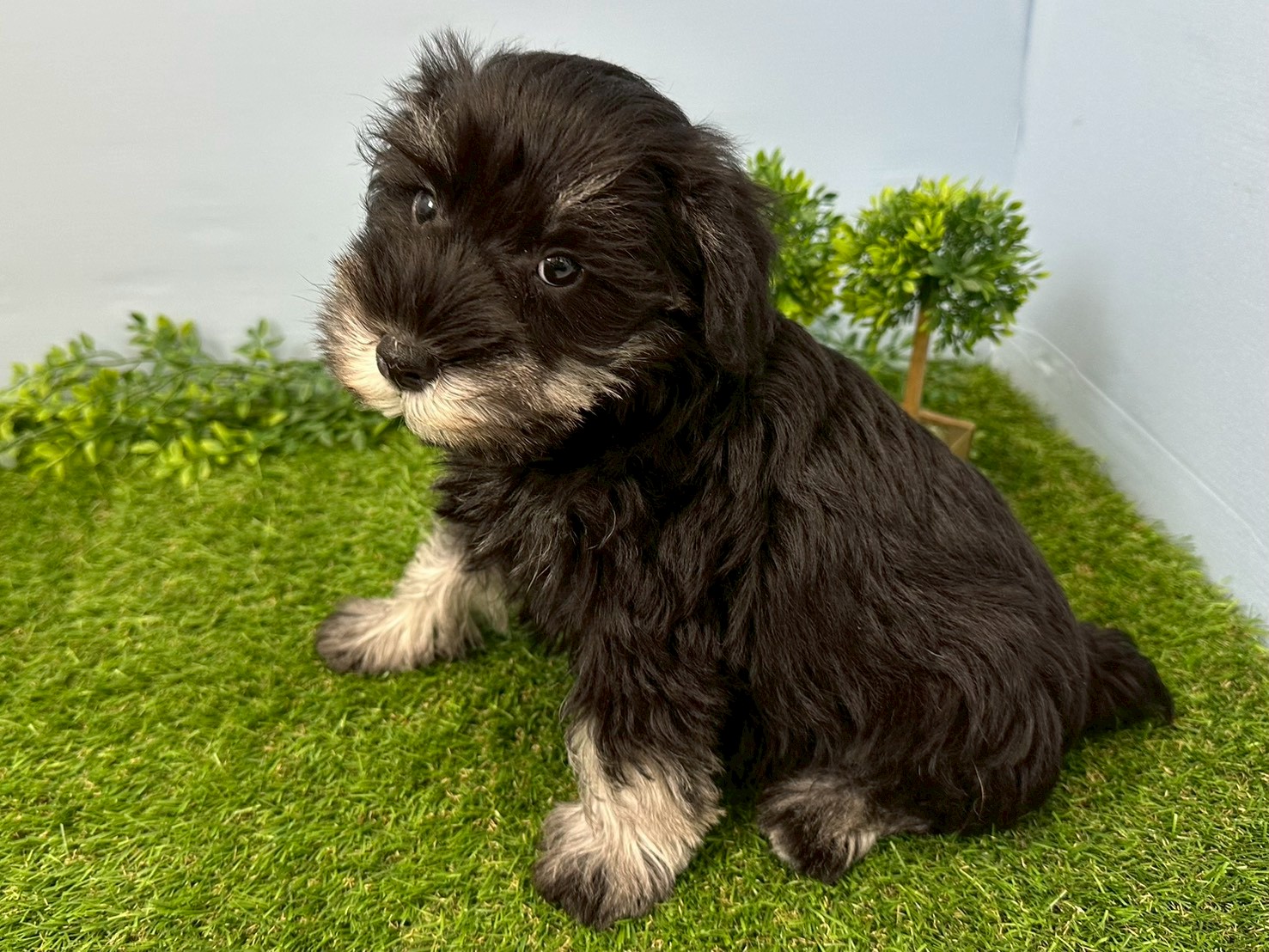 赤ちゃん写真3-2