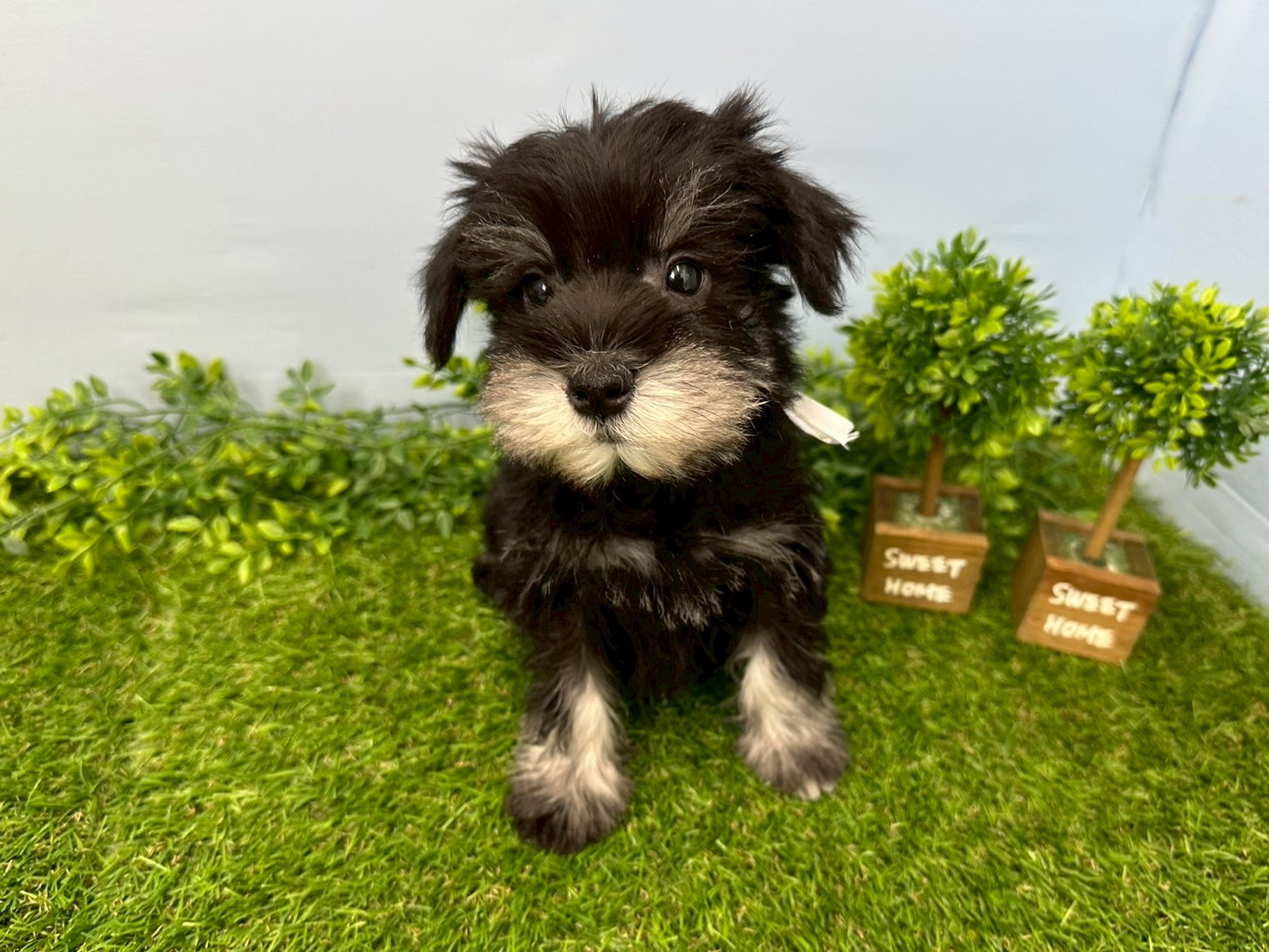 赤ちゃん写真3-1