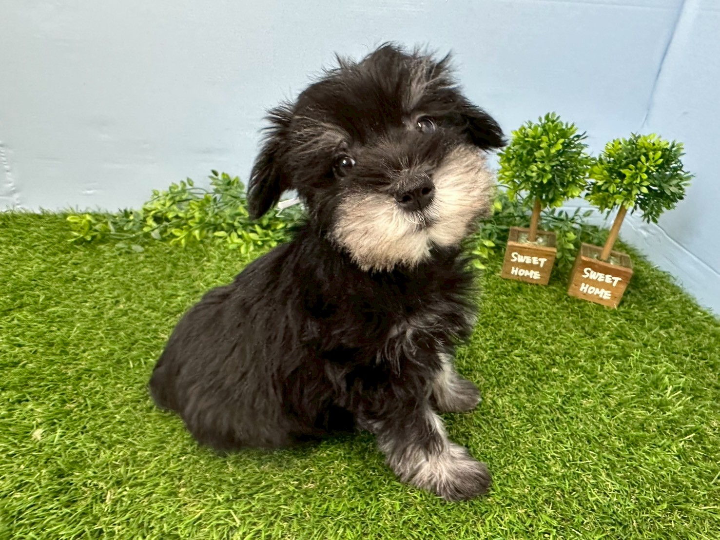 赤ちゃん写真3-2