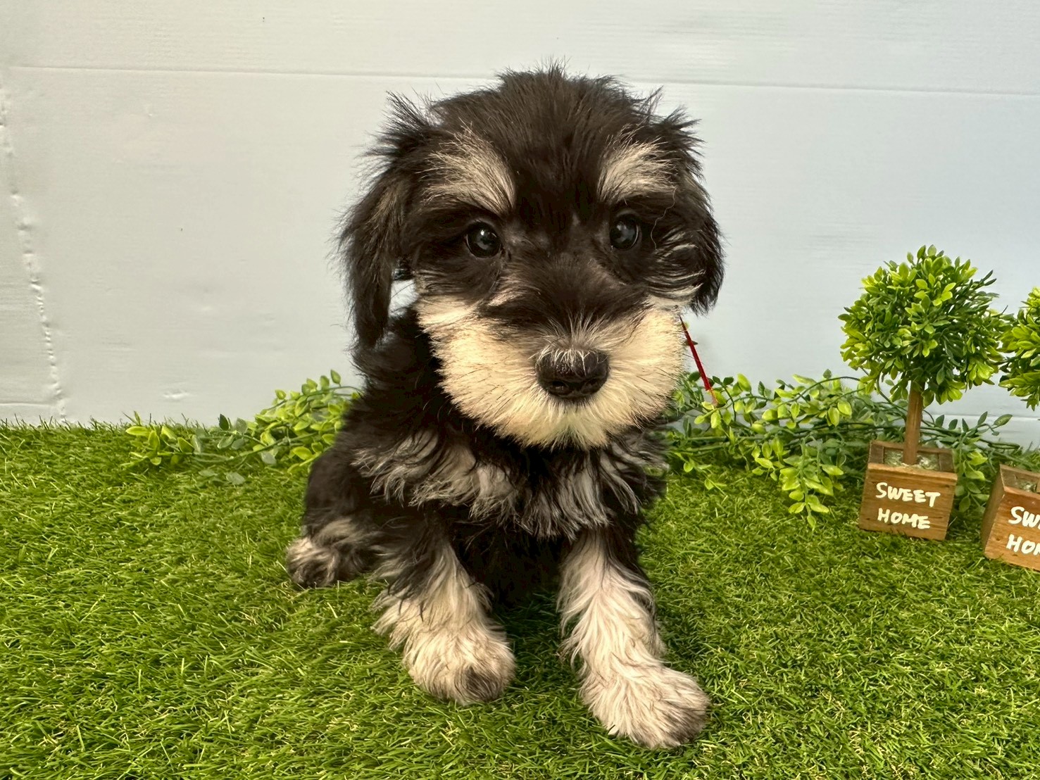 赤ちゃん写真3-1