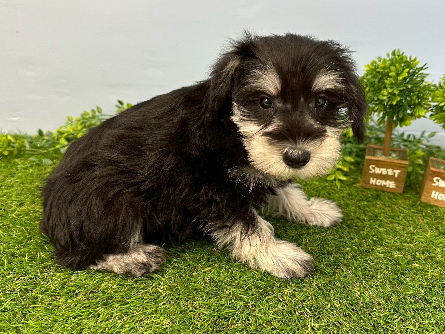 赤ちゃん写真3-2