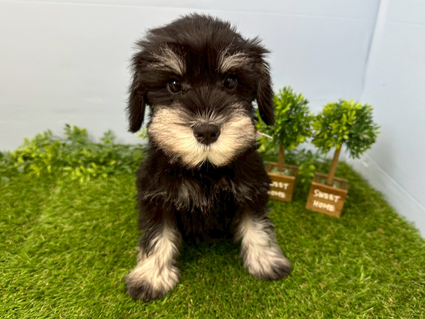 赤ちゃん写真3-1