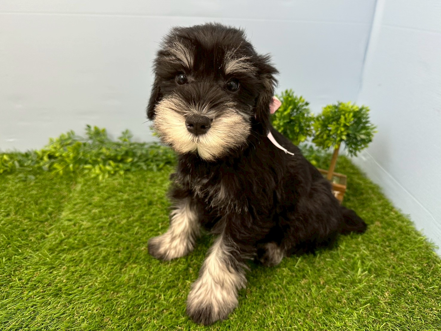 赤ちゃん写真3-2