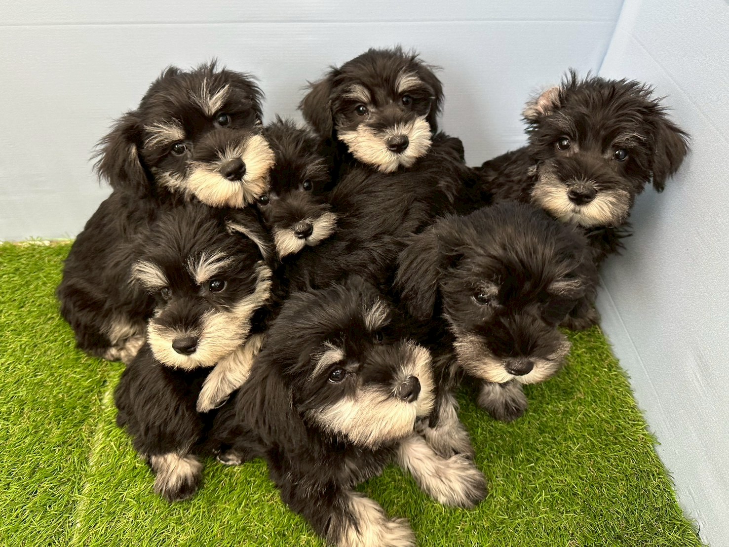 赤ちゃん写真3-3