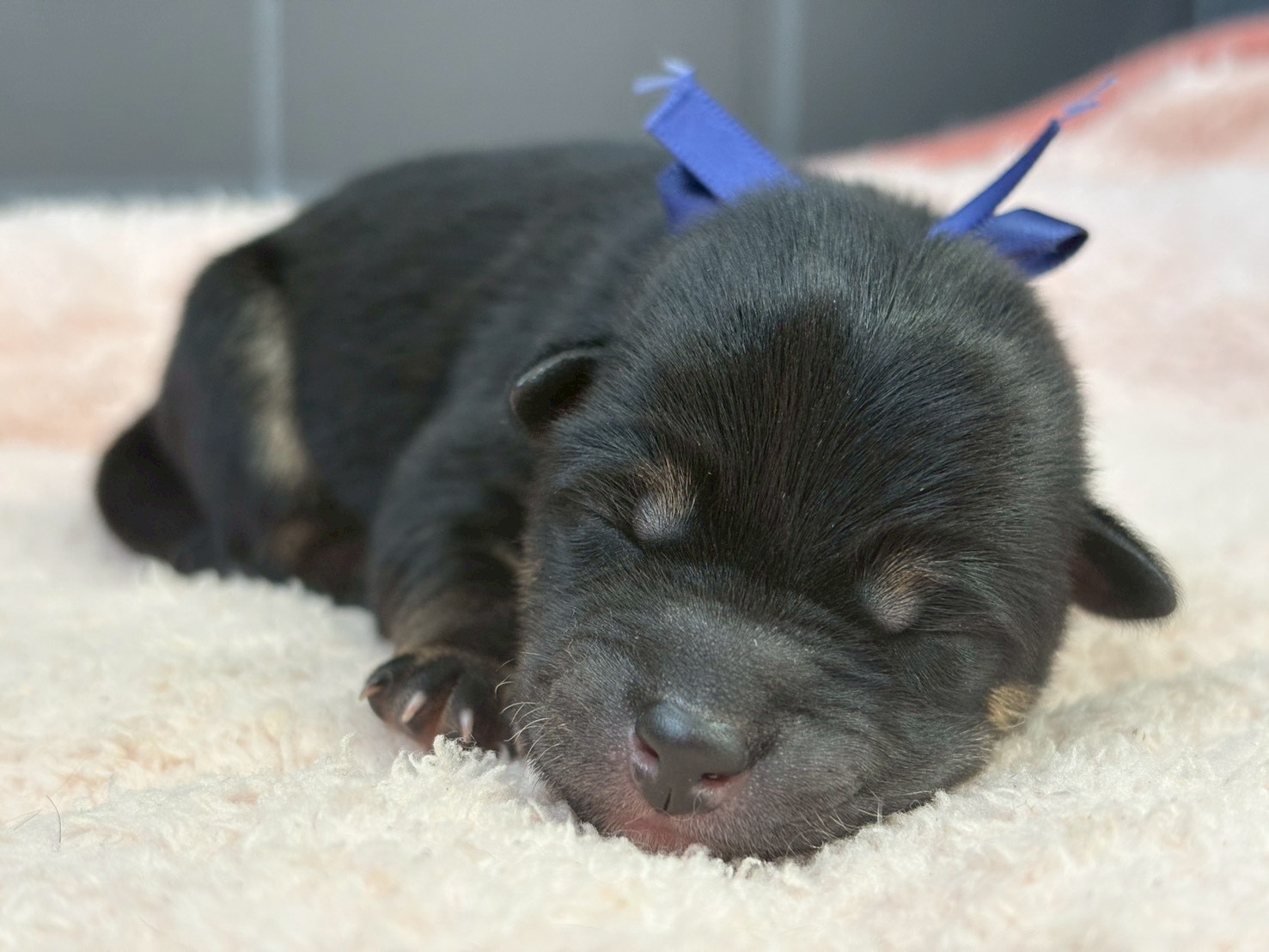 赤ちゃん写真1-1