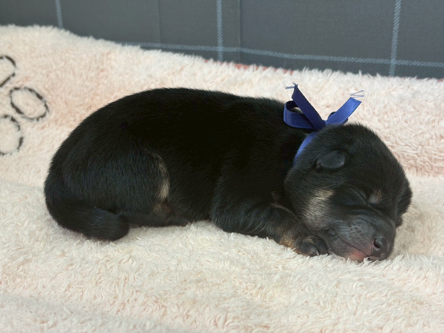 赤ちゃん写真1-2