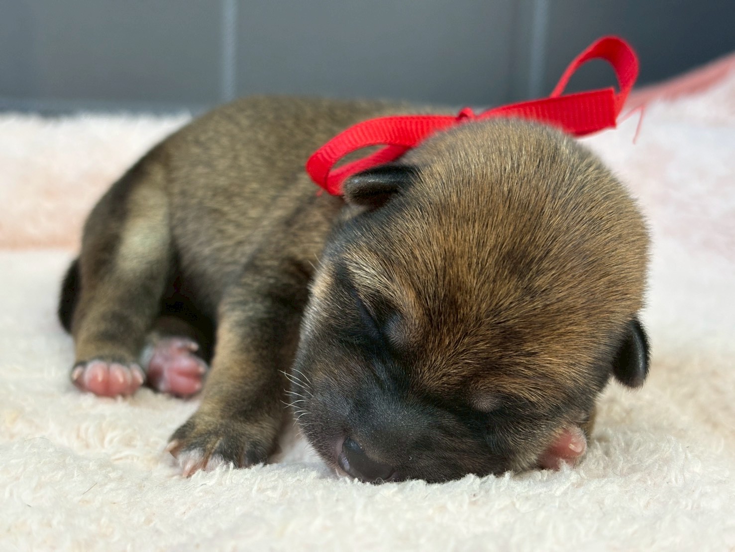 赤ちゃん写真1-1