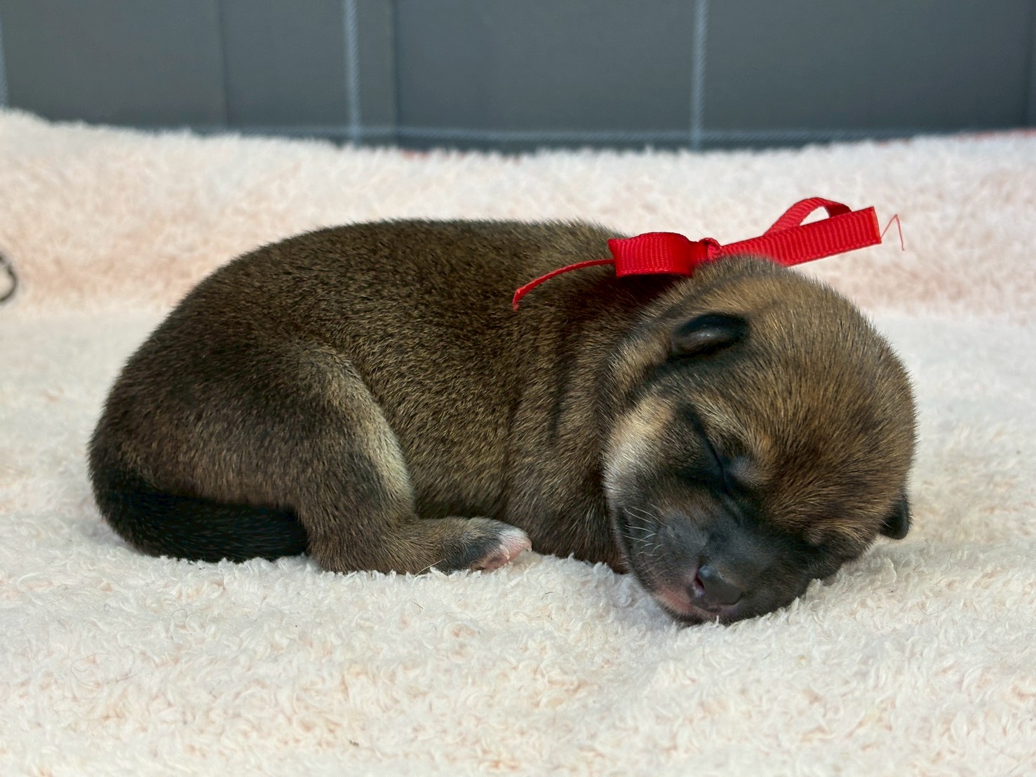 赤ちゃん写真1-2