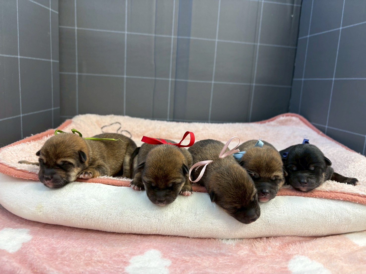 赤ちゃん写真1-3