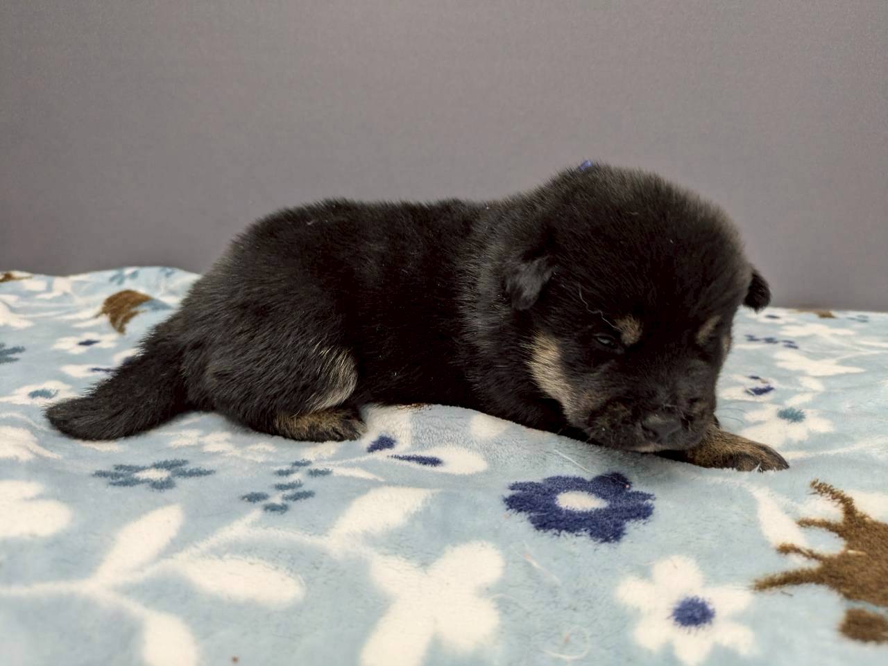 赤ちゃん写真2-2