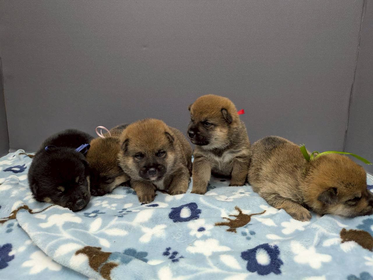 赤ちゃん写真2-3