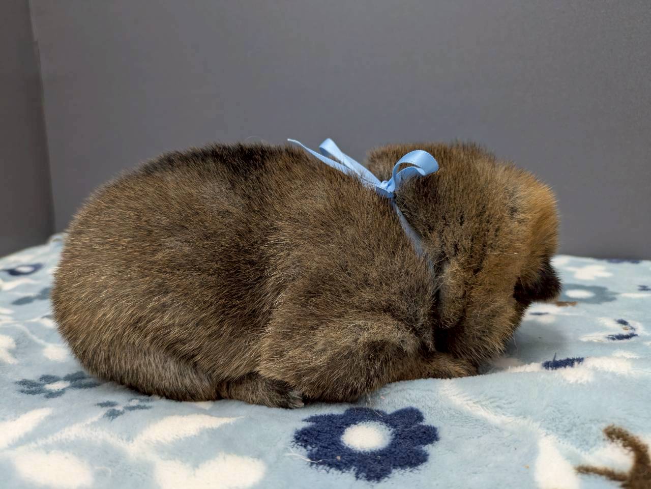 赤ちゃん写真2-2