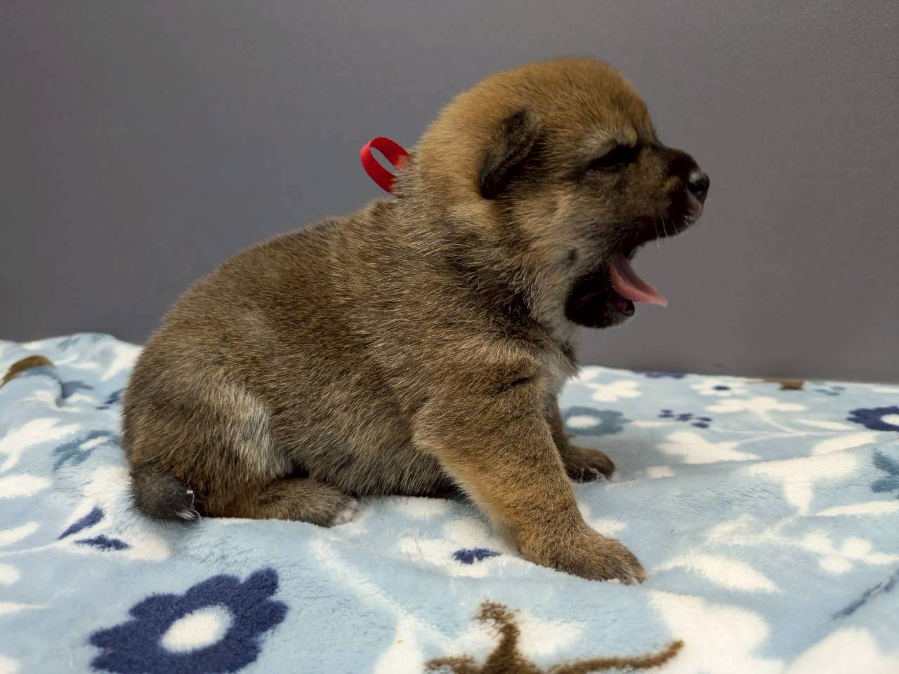 赤ちゃん写真2-2