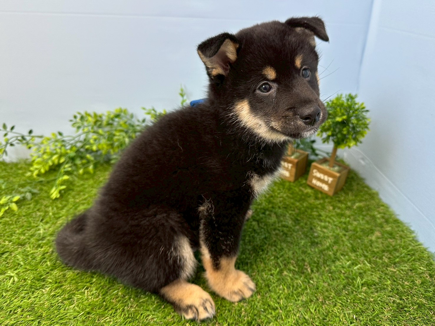 赤ちゃん写真3-2