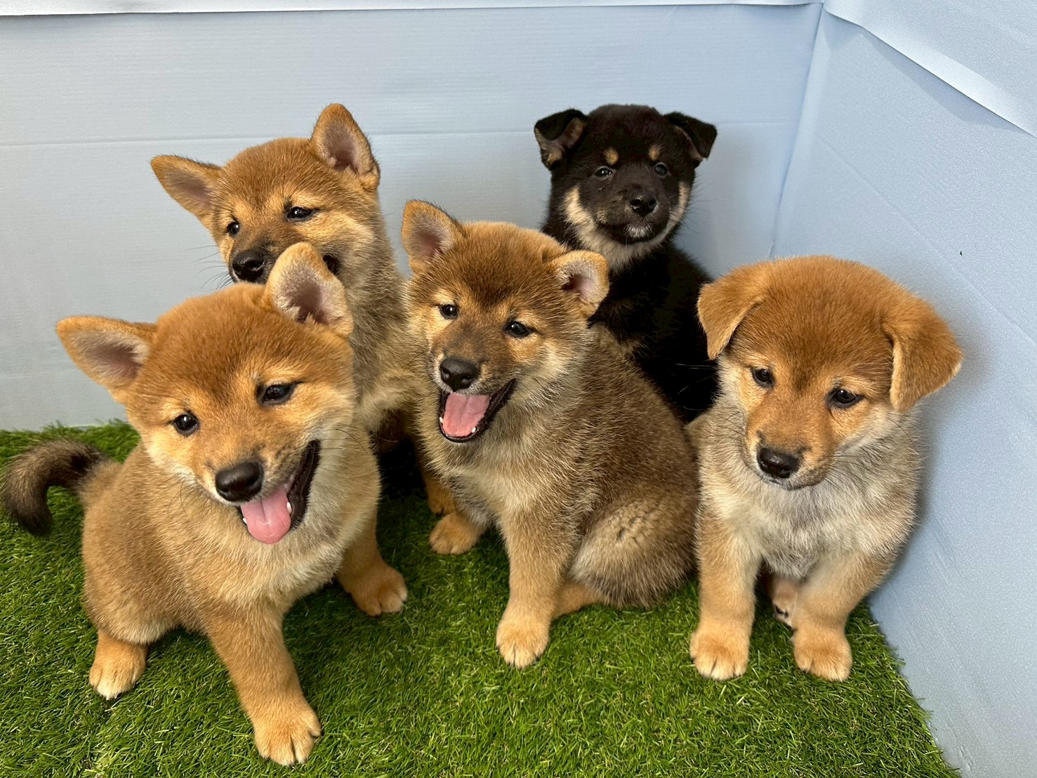 赤ちゃん写真3-3