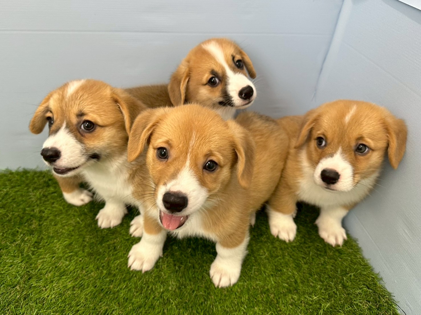 赤ちゃん写真3-3