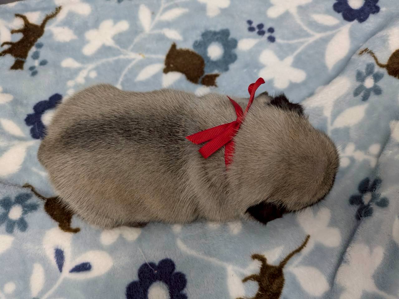 赤ちゃん写真2-3