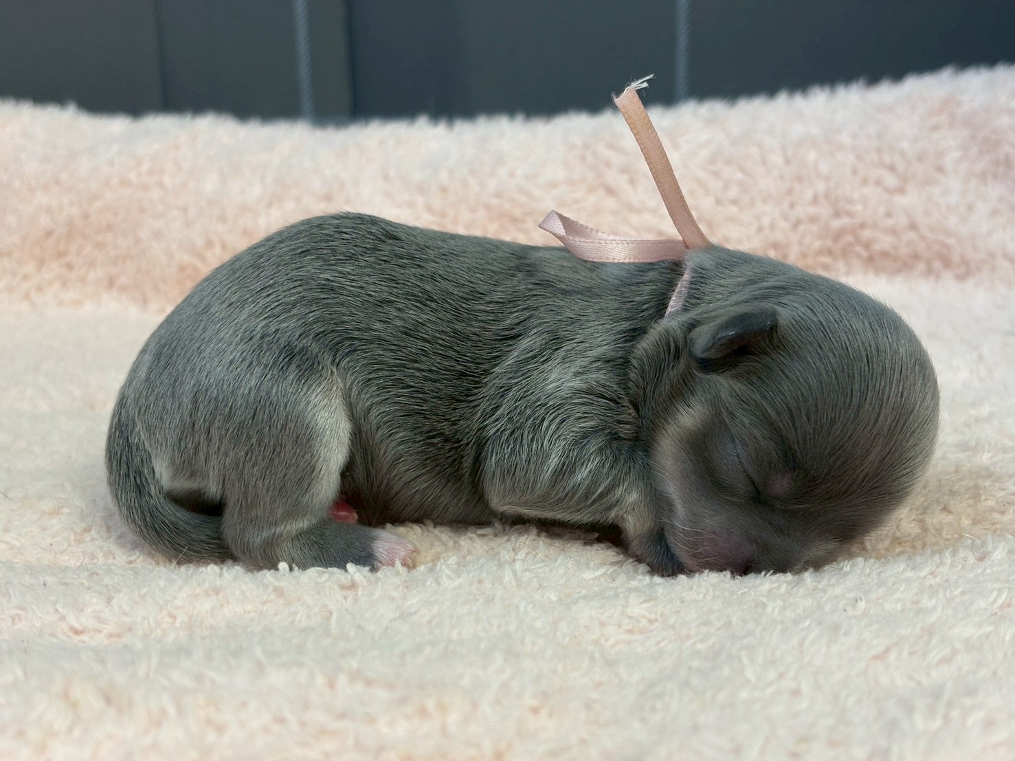 赤ちゃん写真1-2