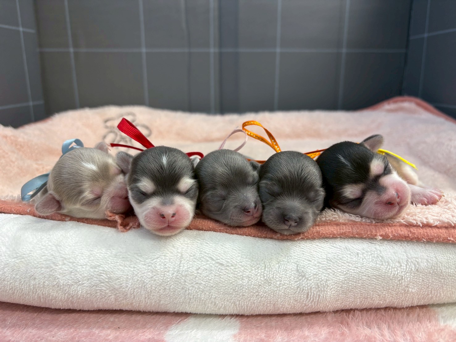 赤ちゃん写真1-3