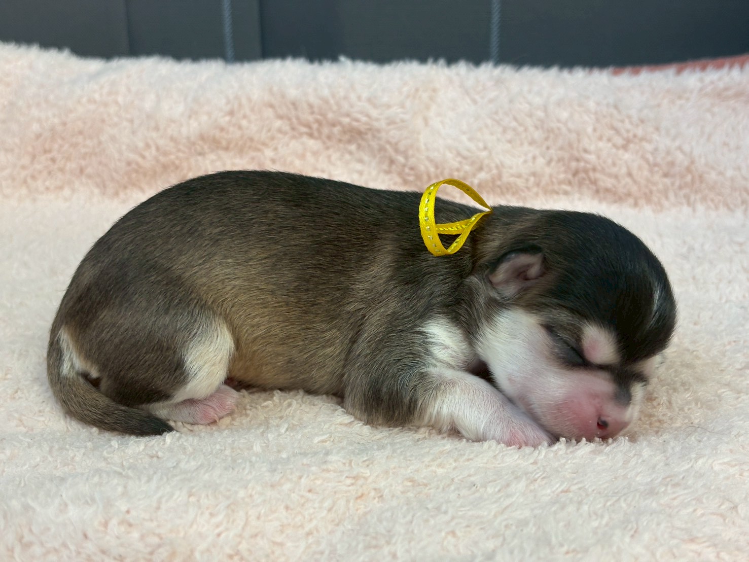 赤ちゃん写真1-2