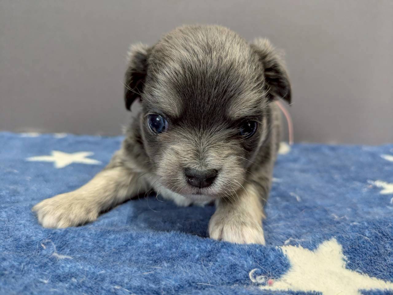 赤ちゃん写真2-1