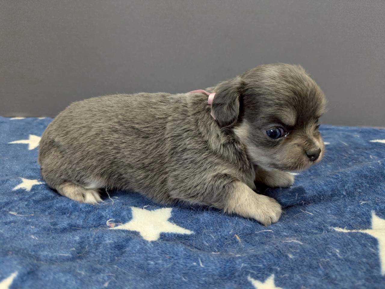 赤ちゃん写真2-2