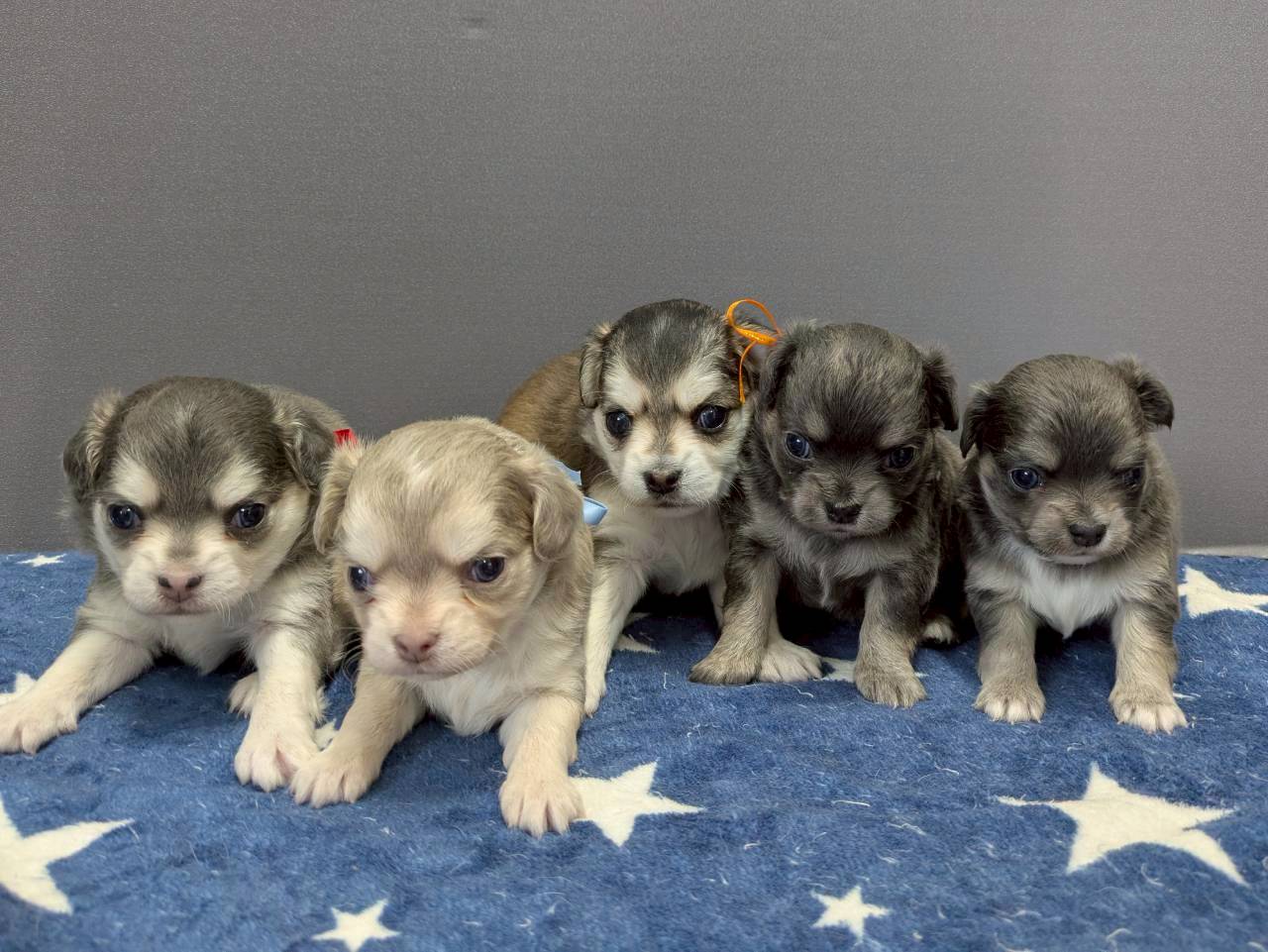 赤ちゃん写真2-3