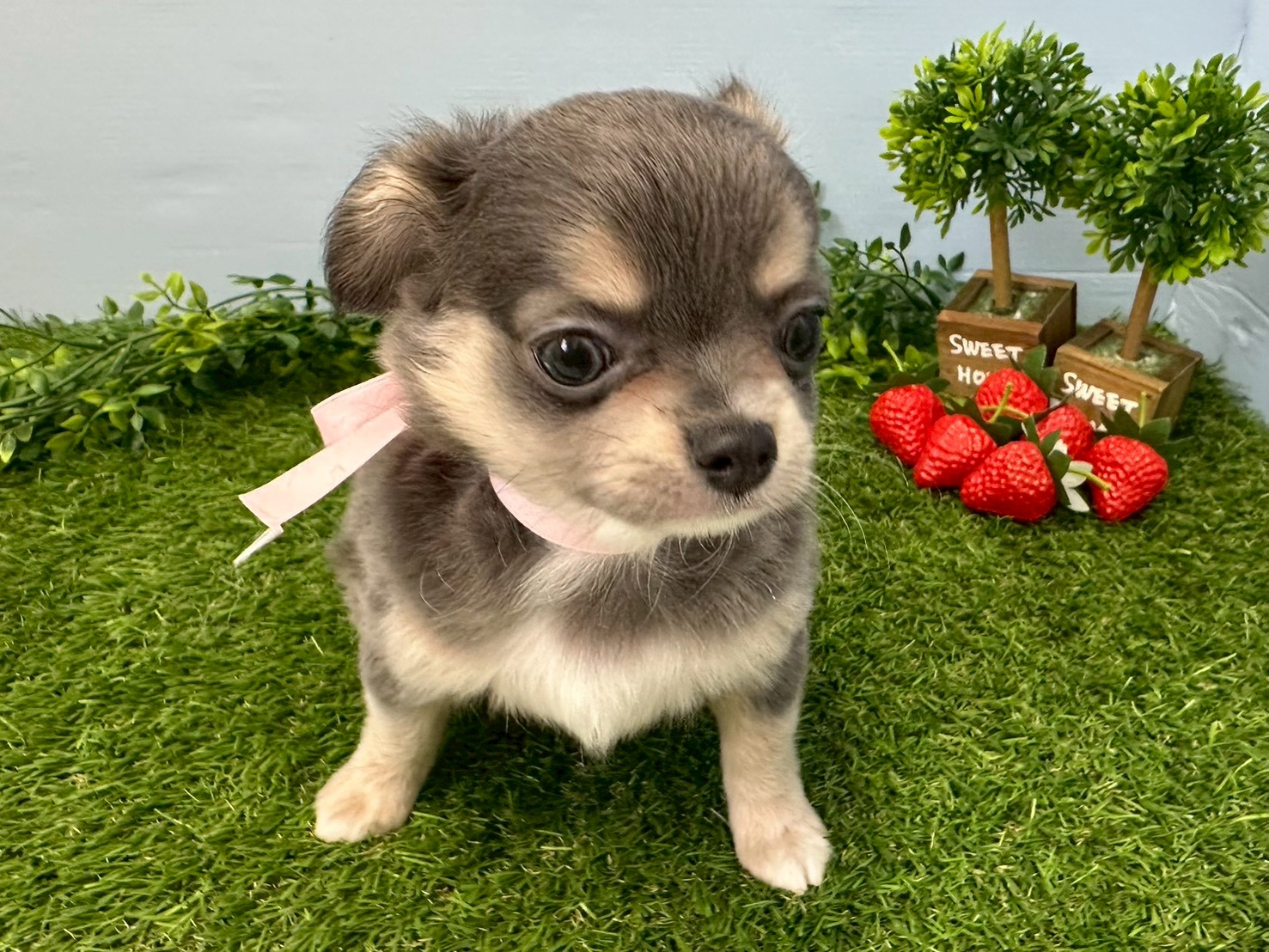 赤ちゃん写真3-1