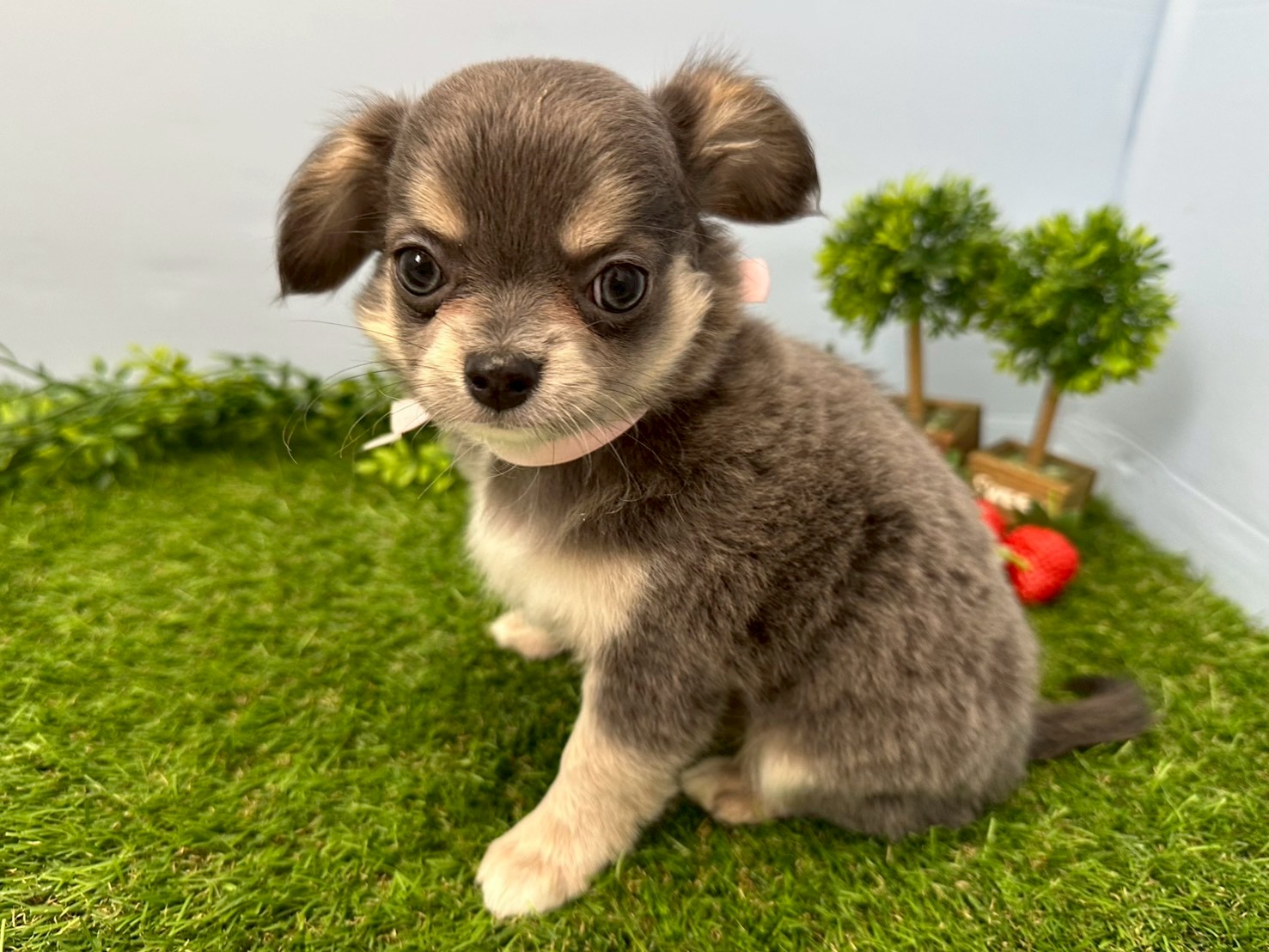 赤ちゃん写真3-2