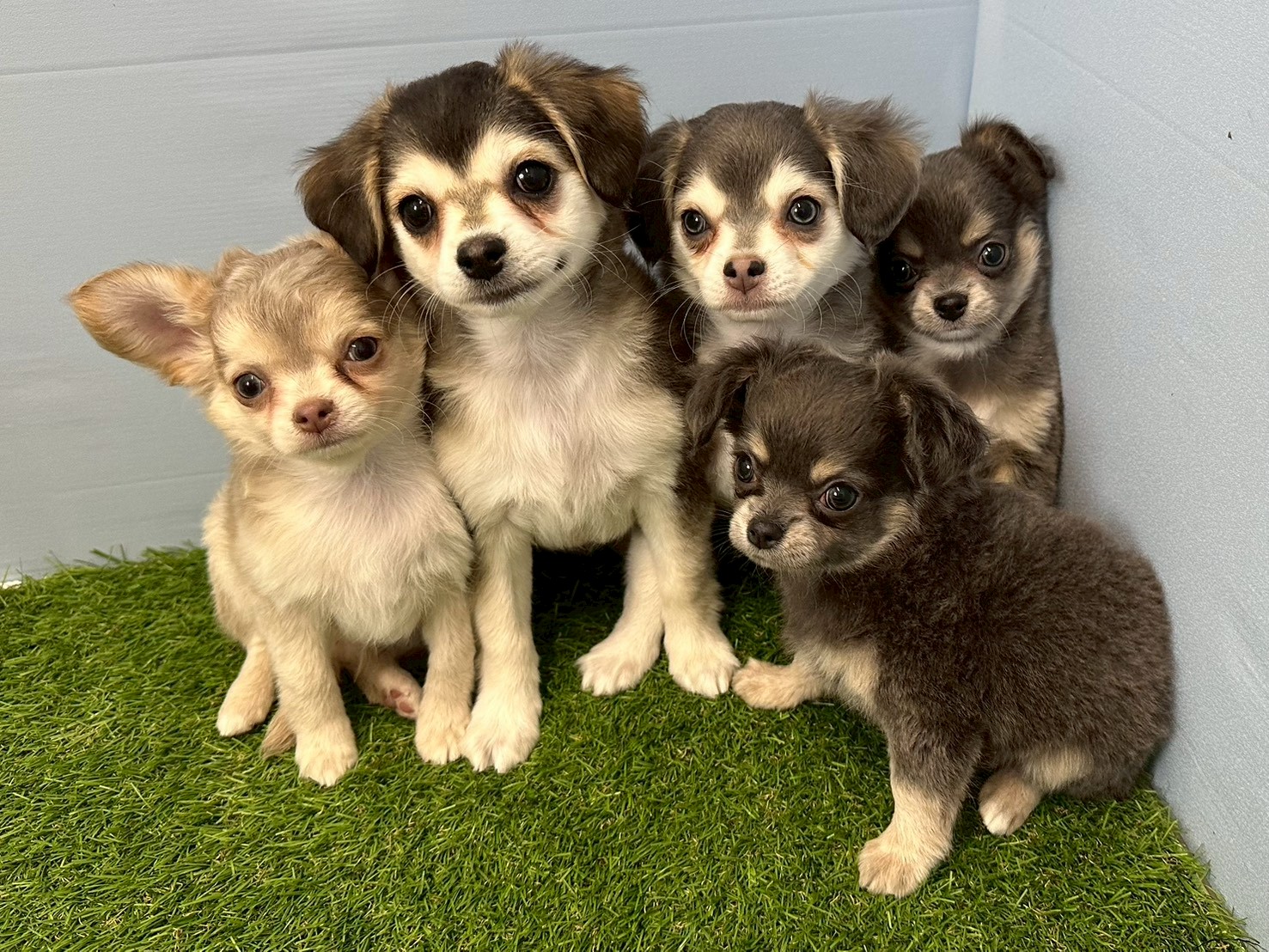 赤ちゃん写真3-3