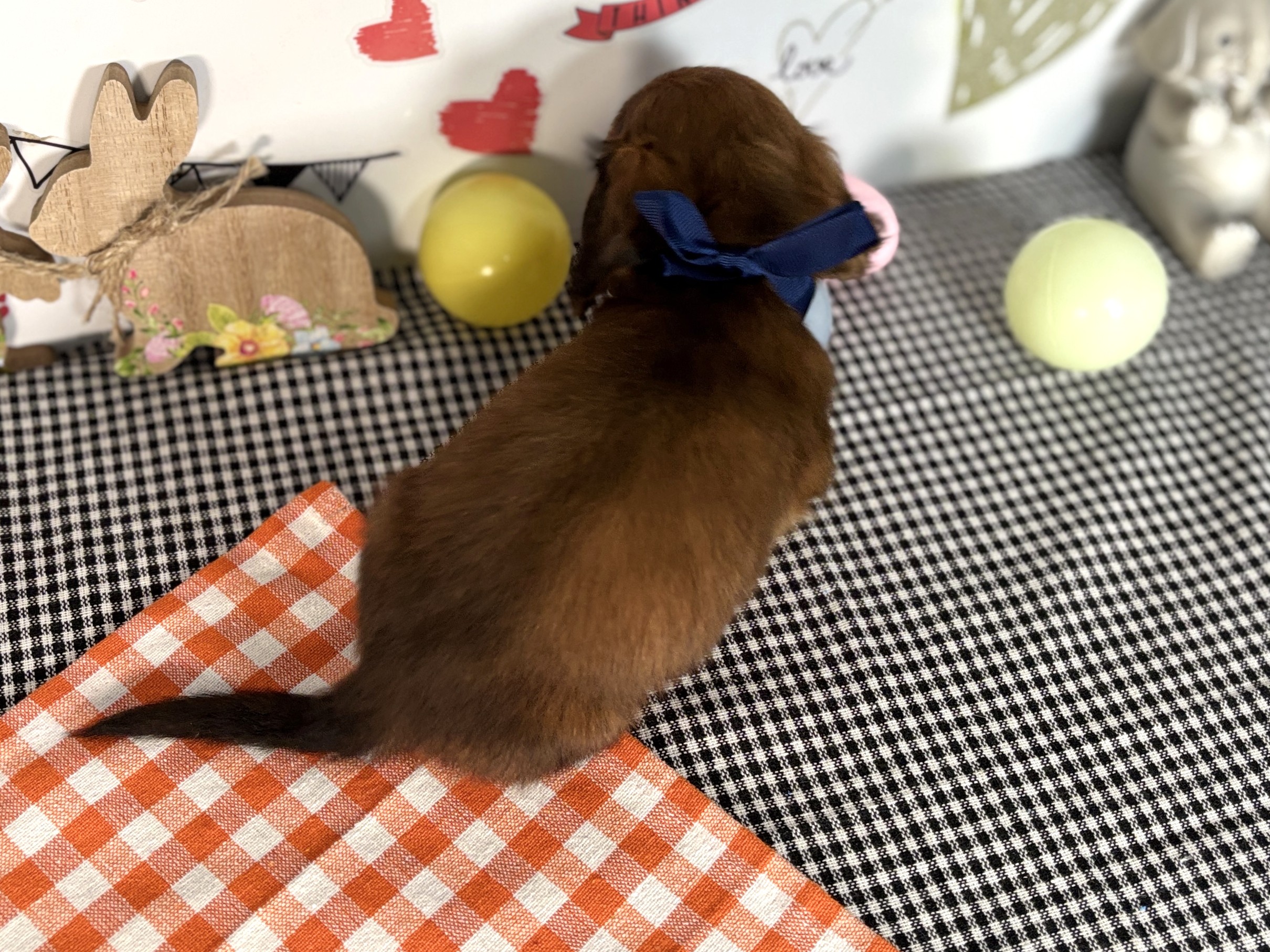 赤ちゃん写真2-3