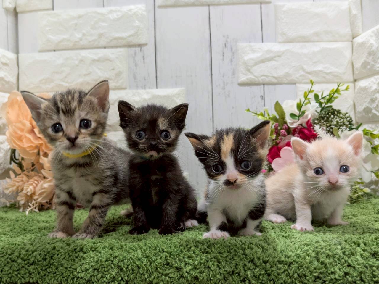 赤ちゃん写真2-3