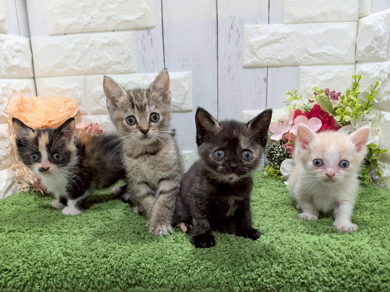 赤ちゃん写真3-3