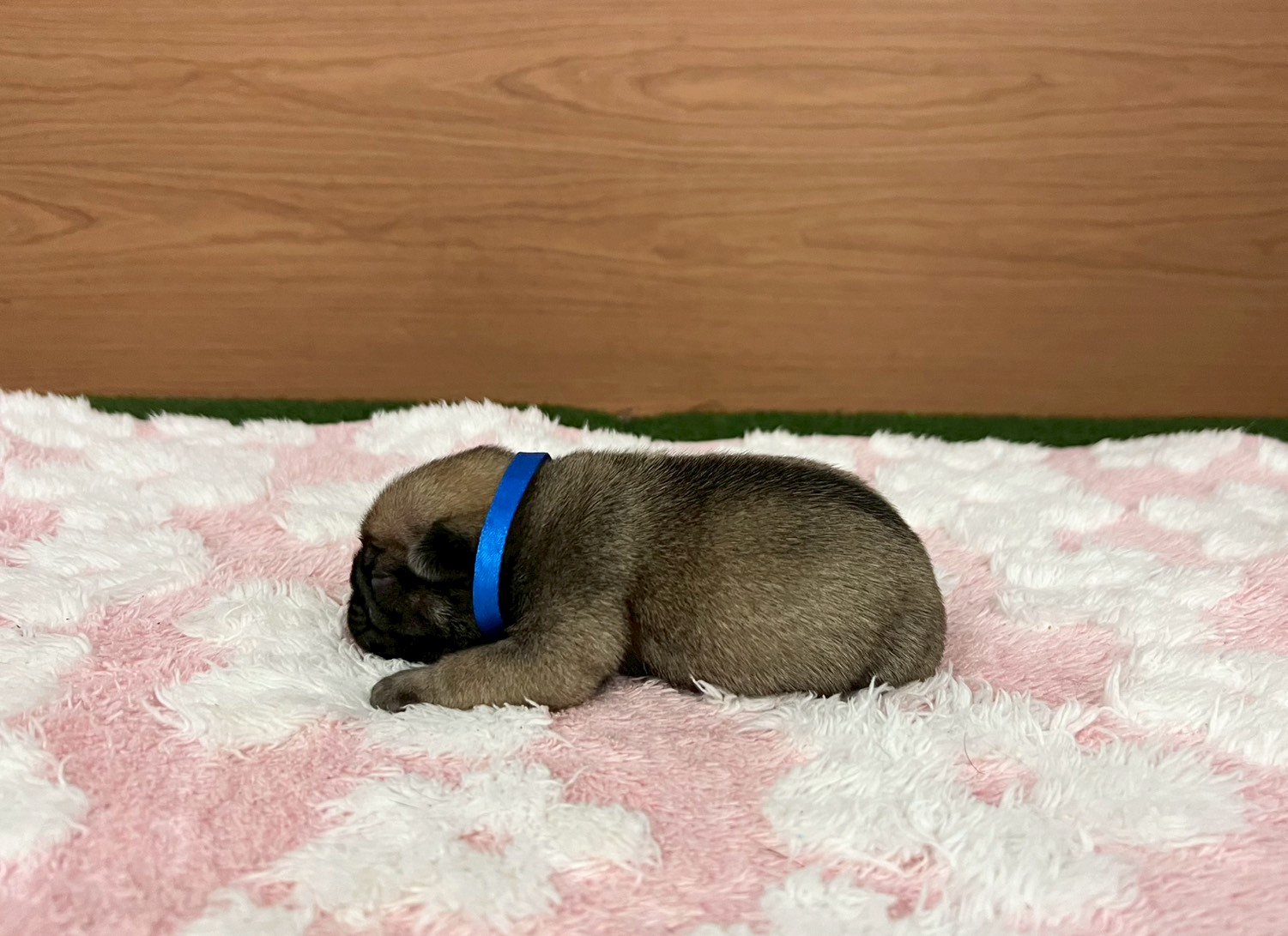 赤ちゃん写真1-2