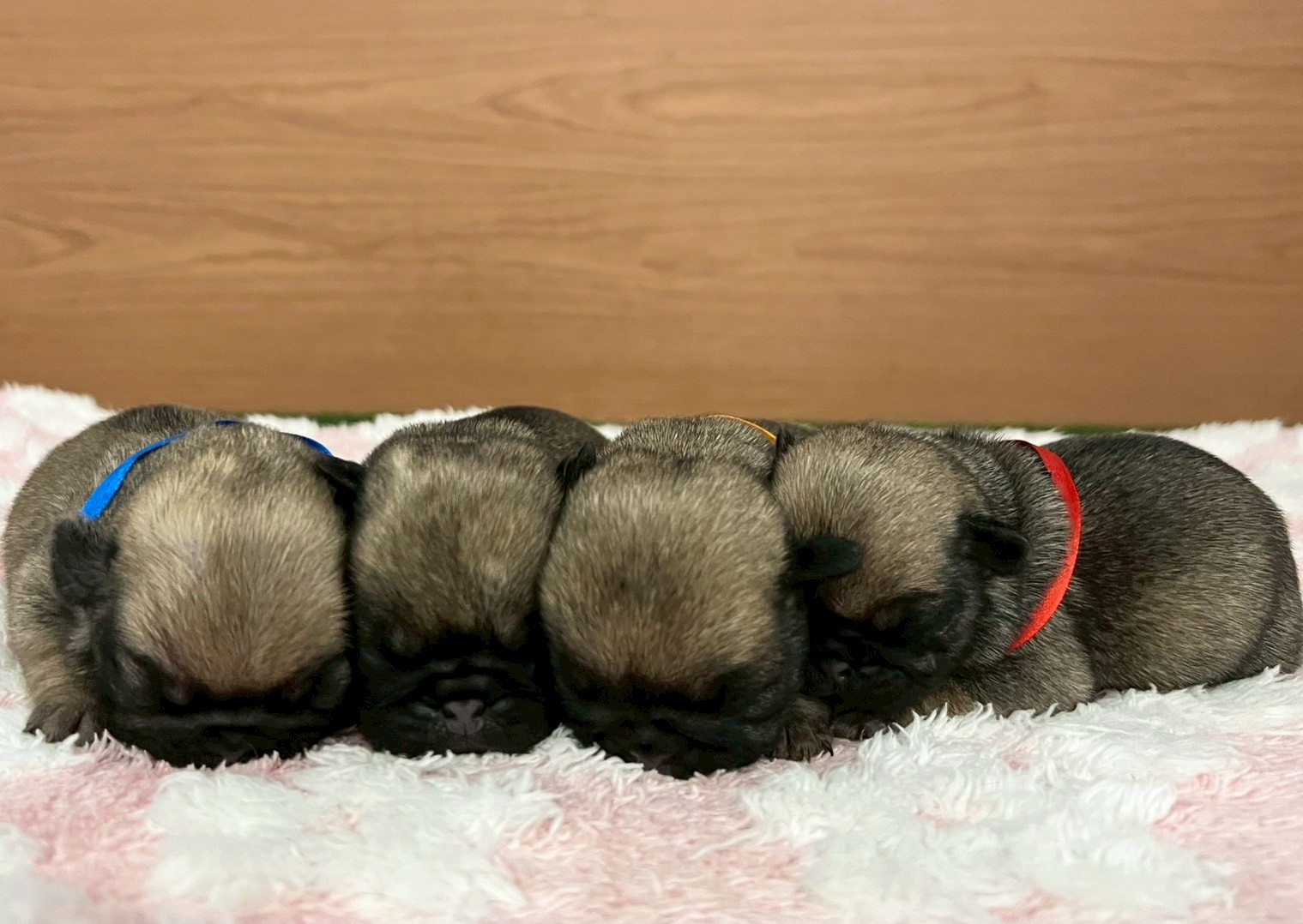 赤ちゃん写真1-3