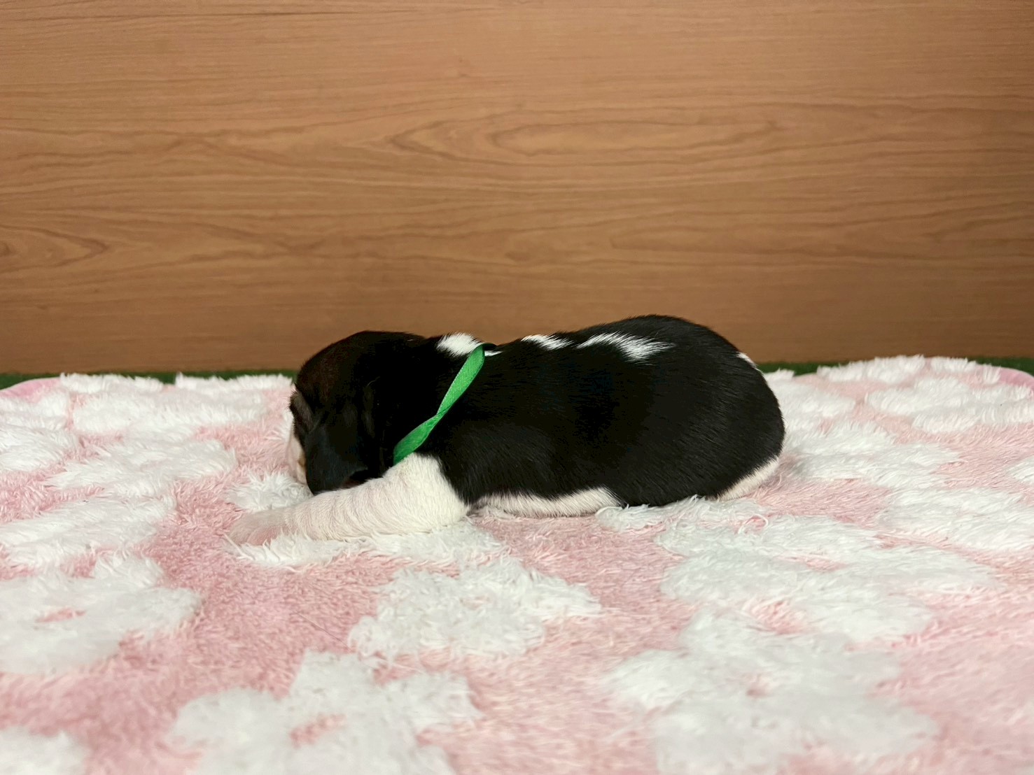 赤ちゃん写真1-2